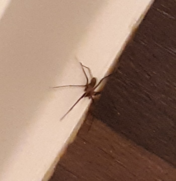 IMG_20190807_162642_798