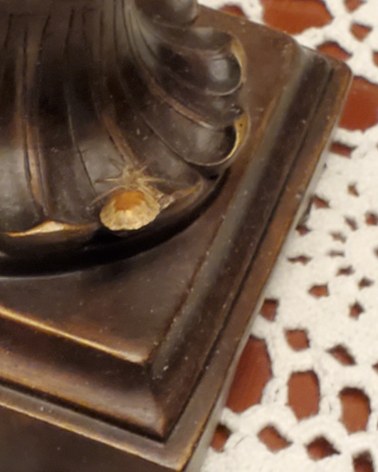 IMG_20210118_212346_272