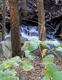 Screenshot_20210128-041546_Gallery